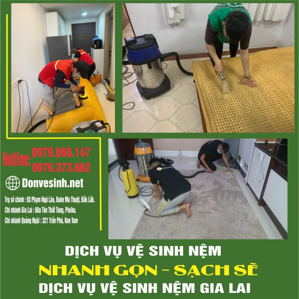Dịch vụ vệ sinh nệm sofa tại Gia Lai